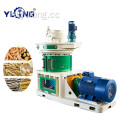 Yulong Zonnebloem Husk Pellet Persmachine